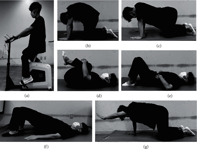 Improvement in Disability Mediates the Effect of Self-Efficacy on Pain Relief in Chronic Low Back Pain Patients with Exercise Therapy.