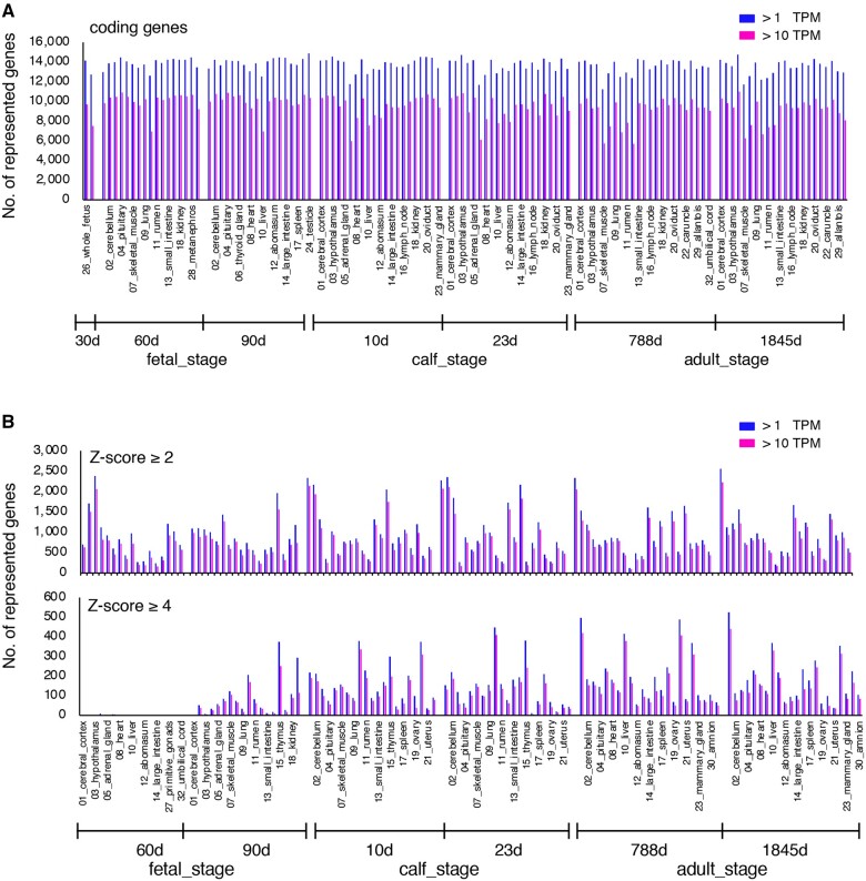 Comprehensive analysis of 124 transcriptomes from 31 tissues in developing, juvenile, and adult Japanese Black cattle.