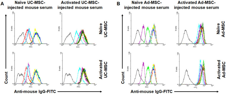 Xenogeneic Humoral Immune Responses to Human Mesenchymal Stem Cells in Mice.