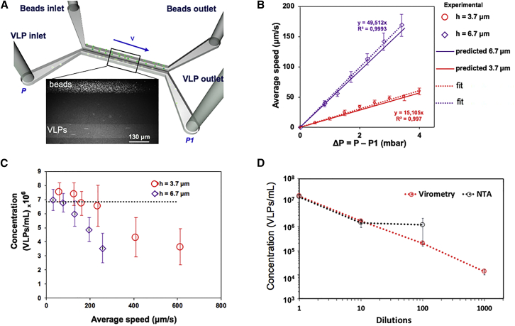 Viro-fluidics: Real-time analysis of virus production kinetics at the single-cell level.