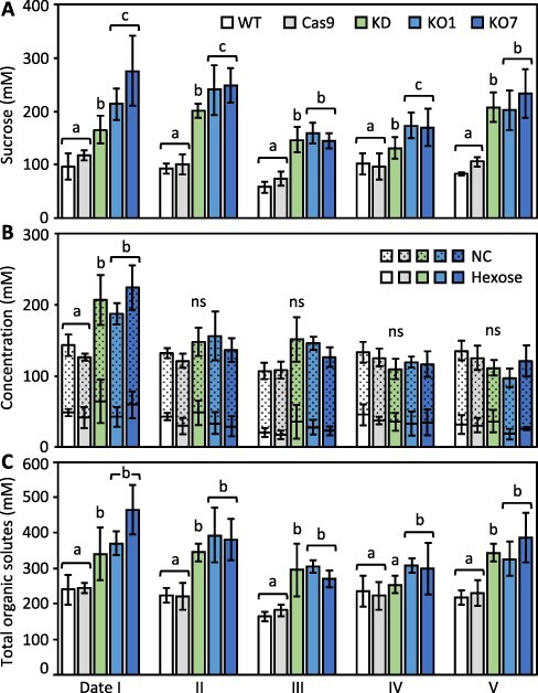 Tonoplast Sucrose Trafficking Modulates Starch Utilization and Water Deficit Behavior in Poplar Leaves.