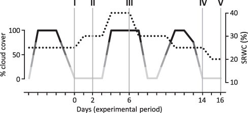 Tonoplast Sucrose Trafficking Modulates Starch Utilization and Water Deficit Behavior in Poplar Leaves.
