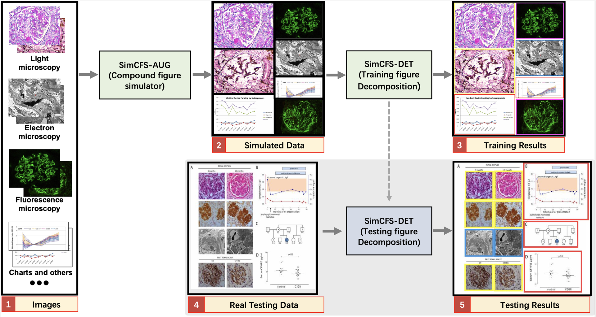 Compound Figure Separation of Biomedical Images: Mining Large Datasets for Self-supervised Learning.