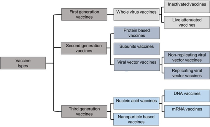 Vaccines platforms and COVID-19: what you need to know.