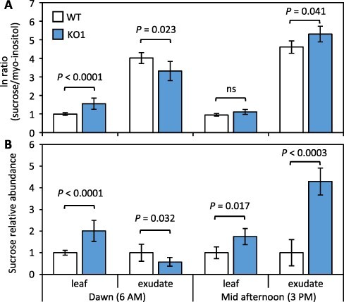 Tonoplast Sucrose Trafficking Modulates Starch Utilization and Water Deficit Behavior in Poplar Leaves.