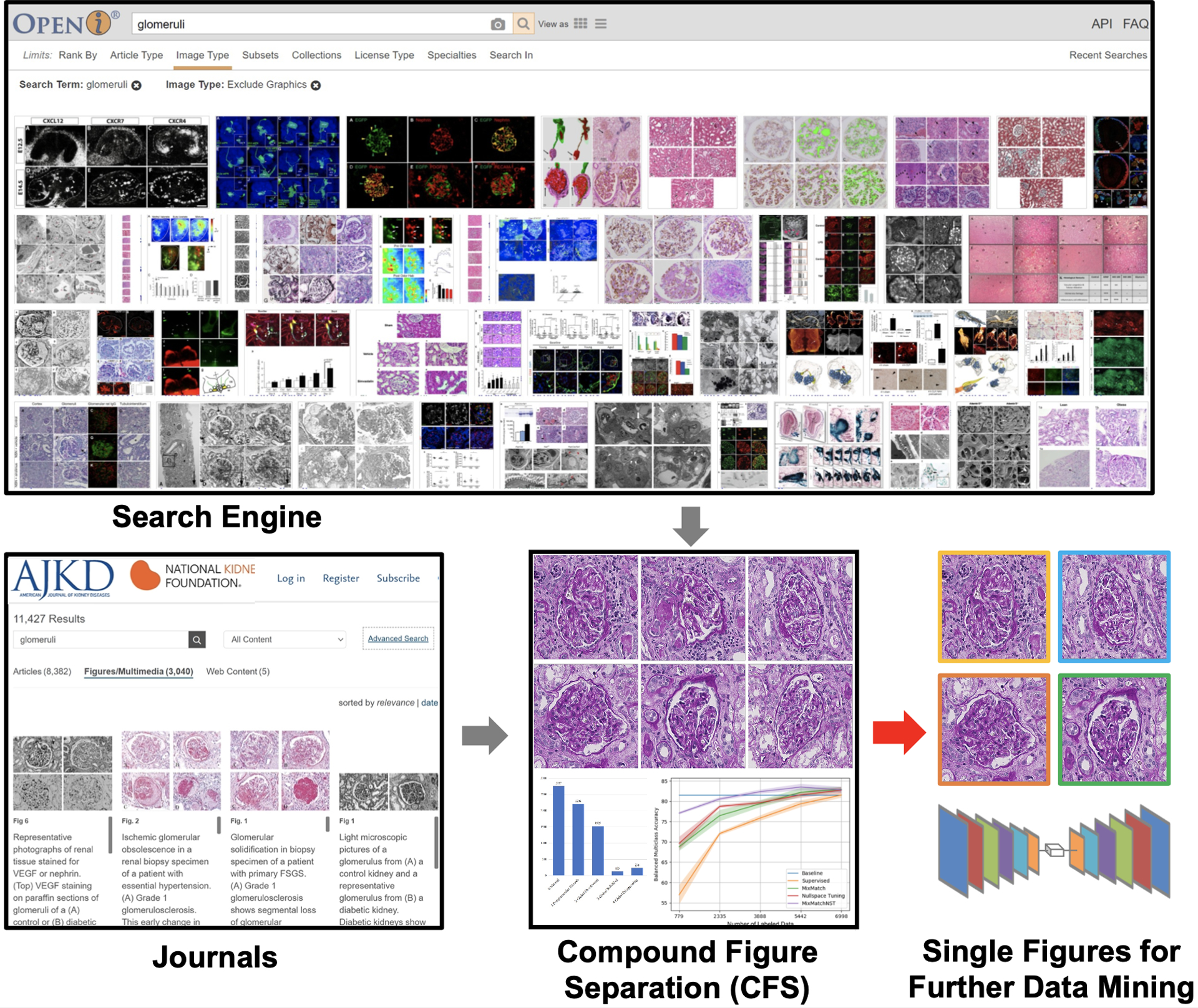 Compound Figure Separation of Biomedical Images: Mining Large Datasets for Self-supervised Learning.