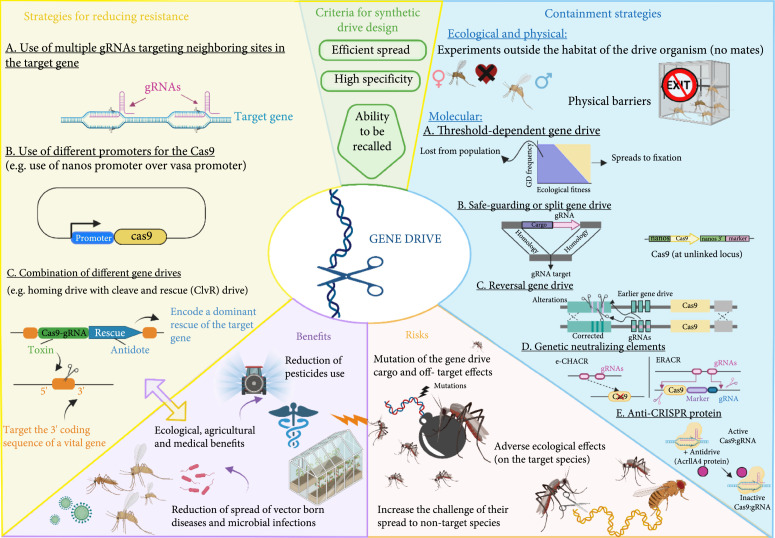 Reflection on the Challenges, Accomplishments, and New Frontiers of Gene Drives.