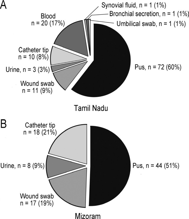 Antibiotic resistance, biofilm forming ability, and clonal profiling of clinical isolates of <i>Staphylococcus aureus</i> from southern and northeastern India.