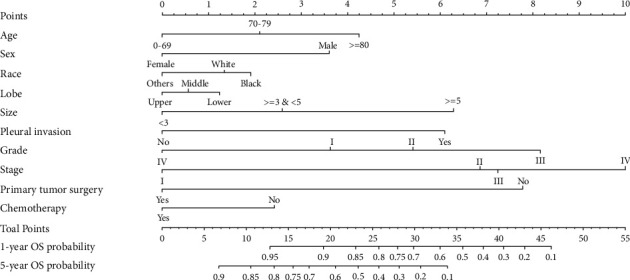 Characteristics and Prognostic Nomogram for Primary Lung Lepidic Adenocarcinoma.