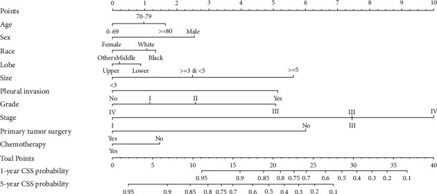 Characteristics and Prognostic Nomogram for Primary Lung Lepidic Adenocarcinoma.