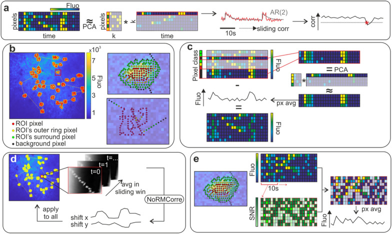 SmaRT2P: a software for generating and processing smart line recording trajectories for population two-photon calcium imaging.