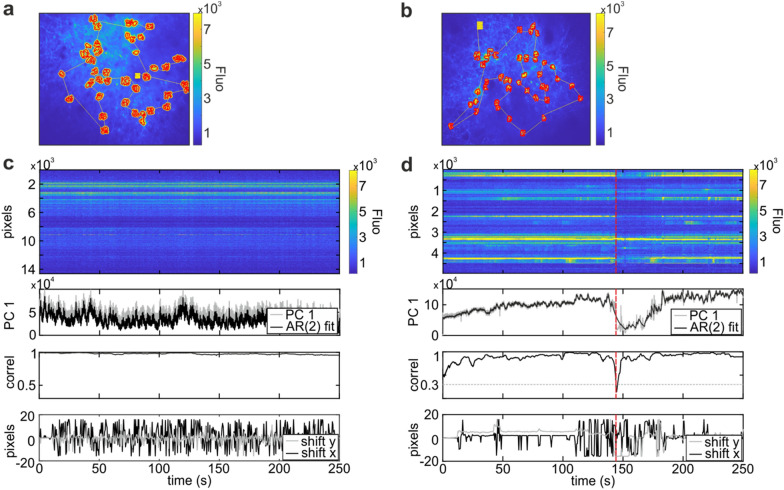 SmaRT2P: a software for generating and processing smart line recording trajectories for population two-photon calcium imaging.