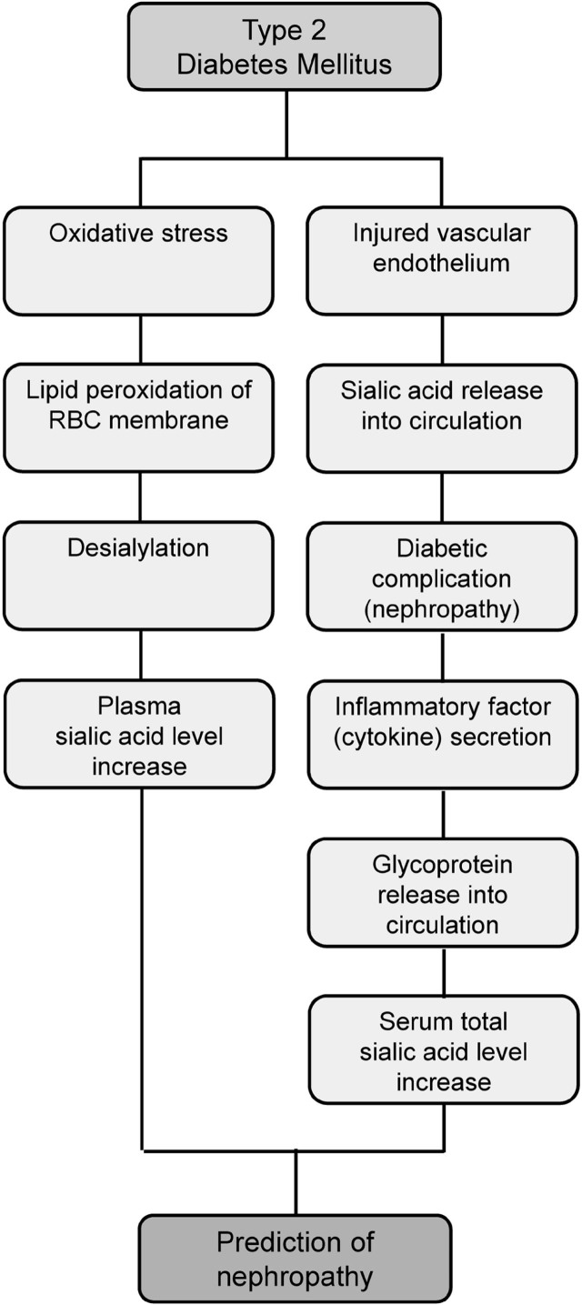 Sialic acid: an attractive biomarker with promising biomedical applications.