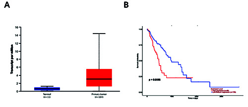 Inhibition of APLN suppresses cell proliferation and migration and promotes cell apoptosis in esophageal cancer cells <em>in vitro</em>, through activating PI3K/mTOR signaling pathway.