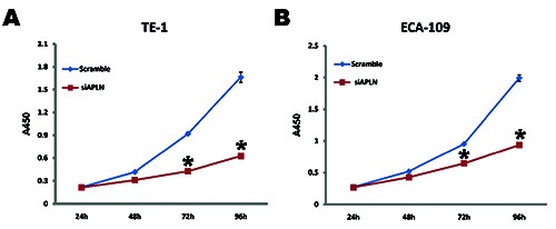 Inhibition of APLN suppresses cell proliferation and migration and promotes cell apoptosis in esophageal cancer cells <em>in vitro</em>, through activating PI3K/mTOR signaling pathway.