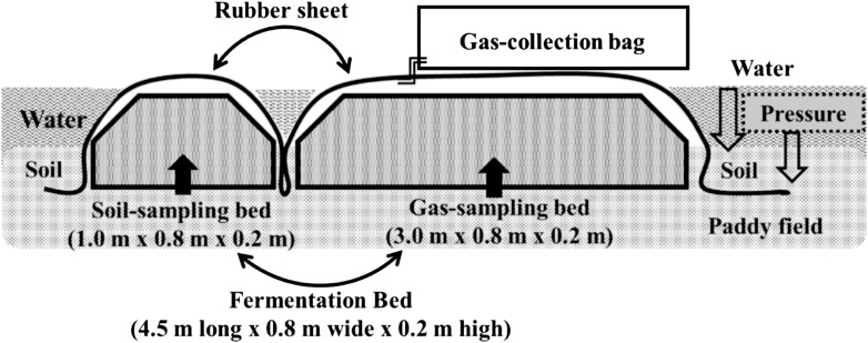 Biological soil disinfestation compatible with renewable energy production for sustainable agriculture.