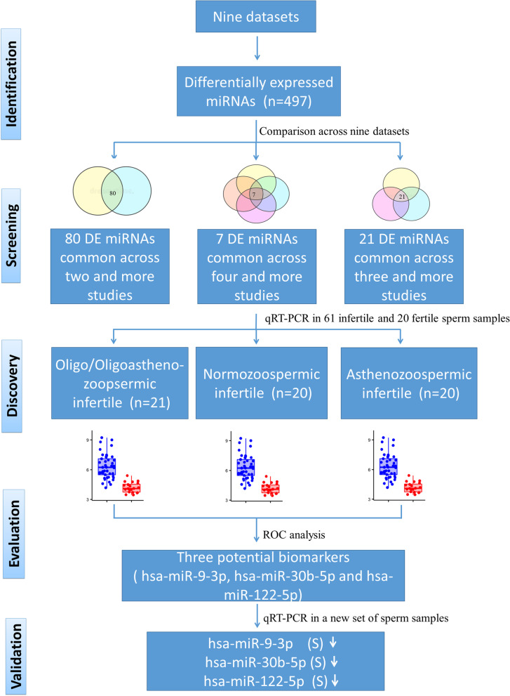 Qualitative and quantitative assessment of sperm miRNAs identifies hsa-miR-9-3p, hsa-miR-30b-5p and hsa-miR-122-5p as potential biomarkers of male infertility and sperm quality.