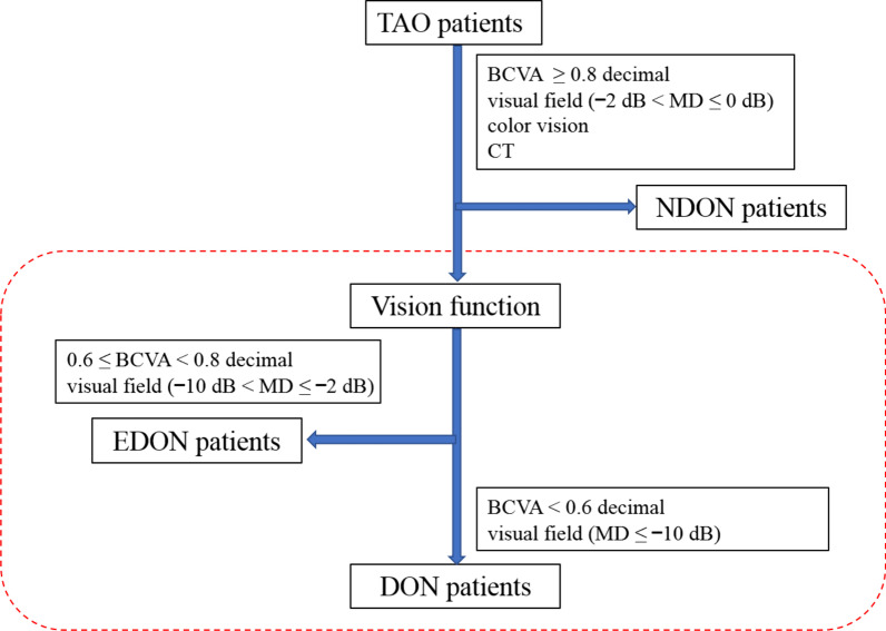 Peripapillary structural and microvascular alterations in early dysthyroid optic neuropathy.