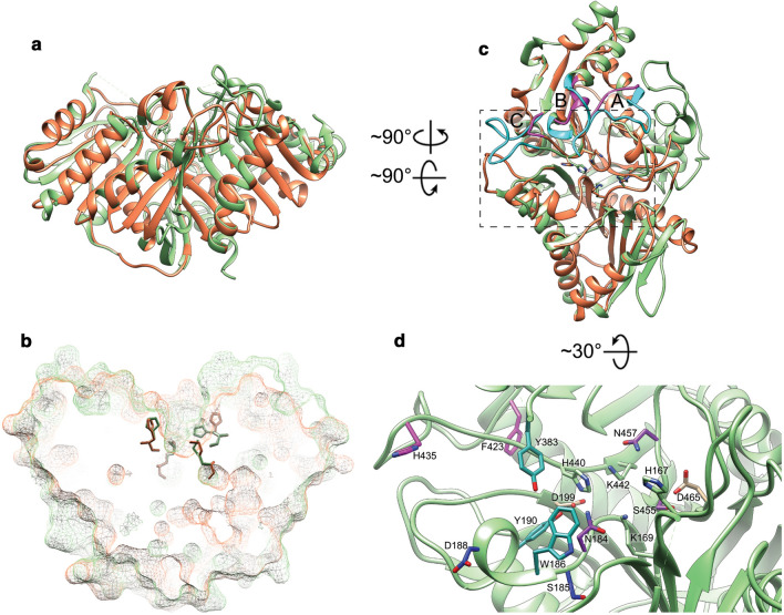 The catalytic and structural basis of archaeal glycerophospholipid biosynthesis.