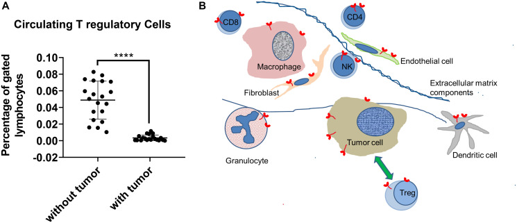 Splice modulating oligomers as cancer therapeutics.