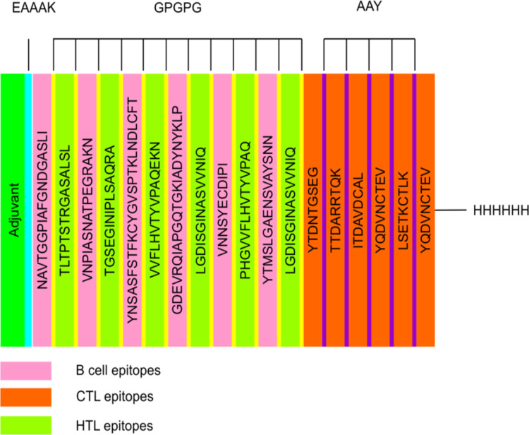 Multi Epitope-Based Vaccine Design for Protection Against <i>Mycobacterium tuberculosis</i> and SARS-CoV-2 Coinfection.