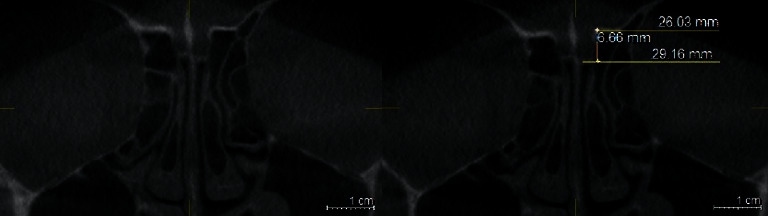 Abstract Image