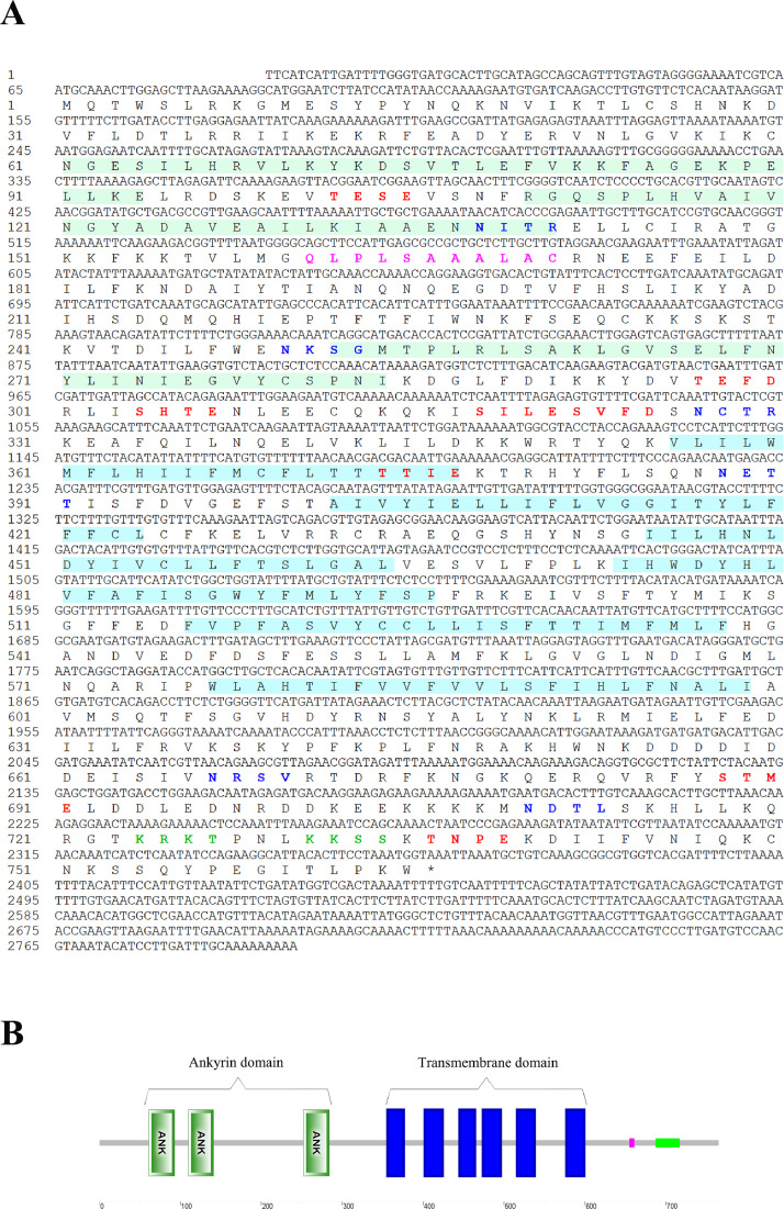 The expression profile of a multi-stress inducible transient receptor potential vanilloid 4 (TRPV4) in Pacific oyster Crassostrea gigas