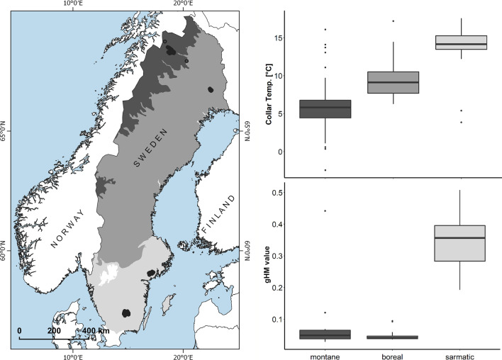 Large mammal telomere length variation across ecoregions.