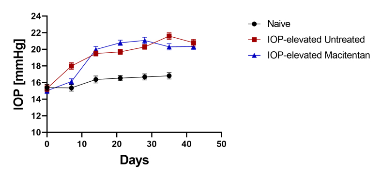 Oral administration of a dual ET<sub>A</sub>/ET<sub>B</sub> receptor antagonist promotes neuroprotection in a rodent model of glaucoma.