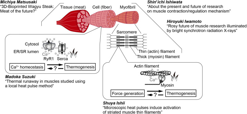 A five-course meal symposium on "The Future of Muscle is Now".