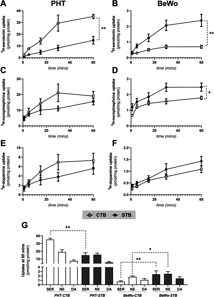 Functional reorganization of monoamine transport systems during villous trophoblast differentiation: evidence of distinct differences between primary human trophoblasts and BeWo cells.