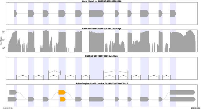 The alternative 3′ splice site of GPNMB may promote neuronal survival after neonatal hypoxic–ischemic encephalopathy injury