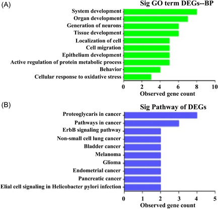 The alternative 3′ splice site of GPNMB may promote neuronal survival after neonatal hypoxic–ischemic encephalopathy injury