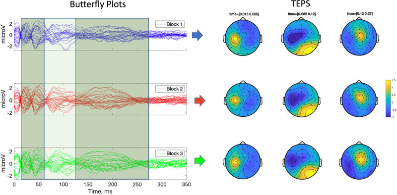 The effect of stimulation frequency on transcranial evoked potentials.