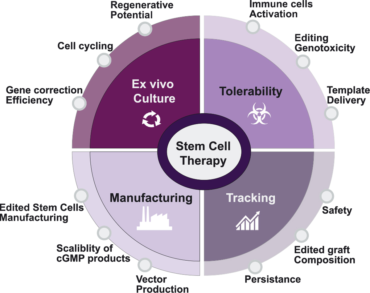 A Curative DNA Code for Hematopoietic Defects