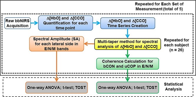 Prefrontal cortical connectivity and coupling of infraslow oscillation in the resting human brain: a 2-channel broadband NIRS study.