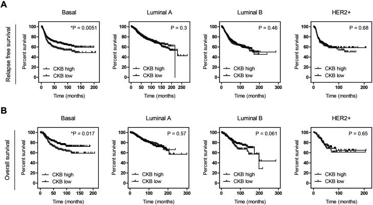 Brain type of creatine kinase induces doxorubicin resistance via TGF-β signaling in MDA-MB-231 breast cancer cells.