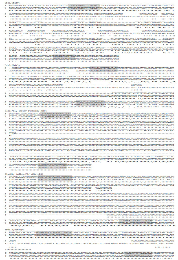 Establishment of New Genetic Markers and Methods for Sex Determination of Mouse and Human Cells using Polymerase Chain Reactions and Crude DNA Samples.