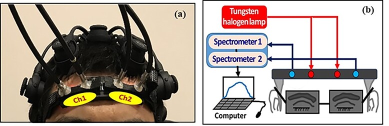 Prefrontal cortical connectivity and coupling of infraslow oscillation in the resting human brain: a 2-channel broadband NIRS study.