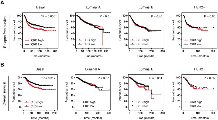 Brain type of creatine kinase induces doxorubicin resistance via TGF-β signaling in MDA-MB-231 breast cancer cells.