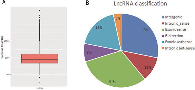 Long noncoding and micro-RNA expression in a model of articular chondrocyte degeneration induced by stromal cell-derived factor-1.