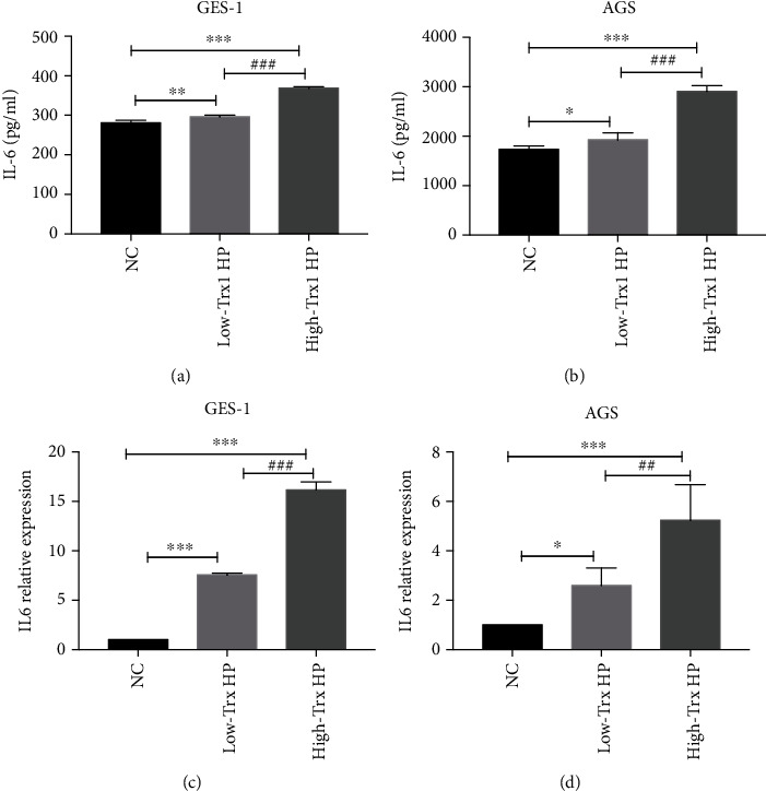 Helicobacter pylori Thioredoxin1 May Play a Highly Pathogenic Role via the IL6/STAT3 Pathway.