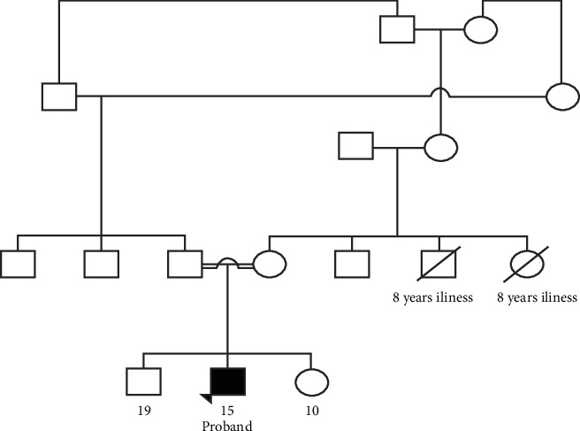 Novel Homozygous TTI2 Variant Causing Autosomal Recessive Syndromic Intellectual Disability and Primary Microcephaly from Pakistan: A Case Report (Exome Report).