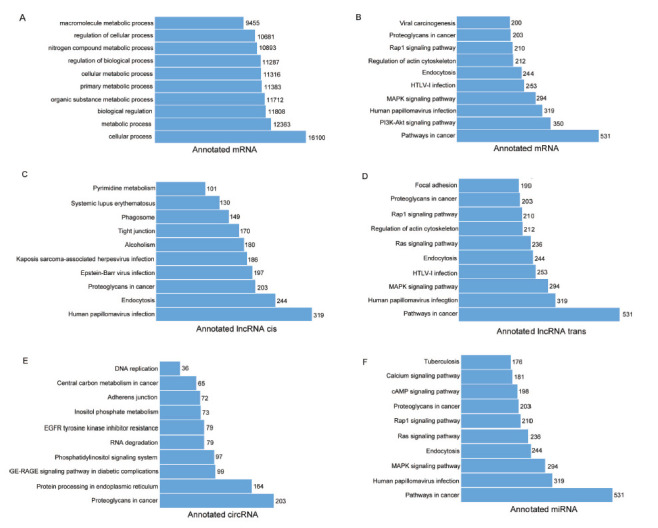 Construction of PARPi Resistance-related Competing Endogenous RNA Network.