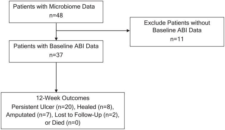 Ankle brachial indices and anaerobes: is peripheral arterial disease associated with anaerobic bacteria in diabetic foot ulcers?