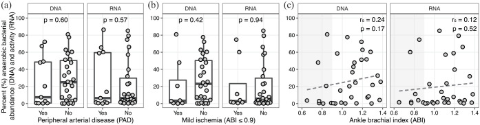 Ankle brachial indices and anaerobes: is peripheral arterial disease associated with anaerobic bacteria in diabetic foot ulcers?