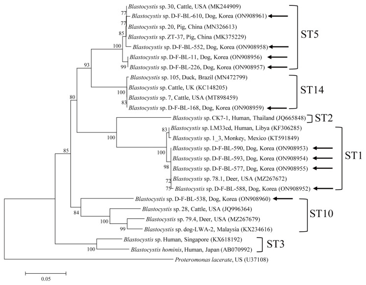 Molecular Detection and Genetic Diversity of Blastocystis in Korean Dogs.