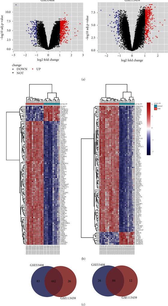 Identification of Signal Pathways and Hub Genes of Pulmonary Arterial Hypertension by Bioinformatic Analysis.