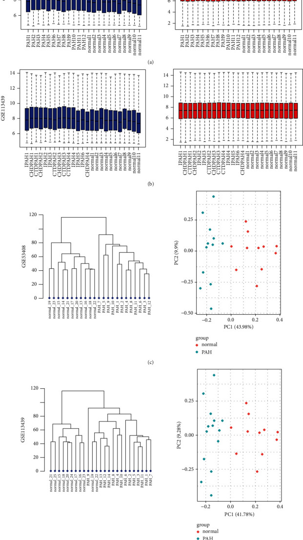 Identification of Signal Pathways and Hub Genes of Pulmonary Arterial Hypertension by Bioinformatic Analysis.