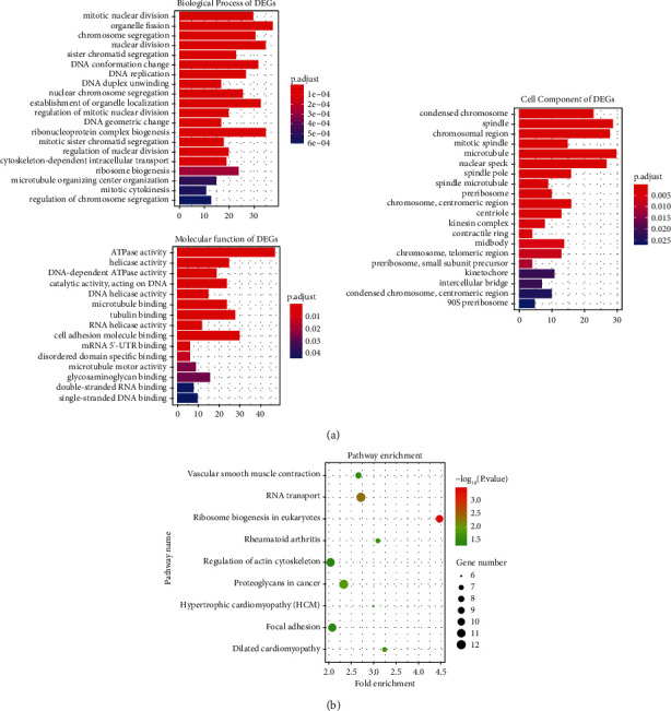 Identification of Signal Pathways and Hub Genes of Pulmonary Arterial Hypertension by Bioinformatic Analysis.